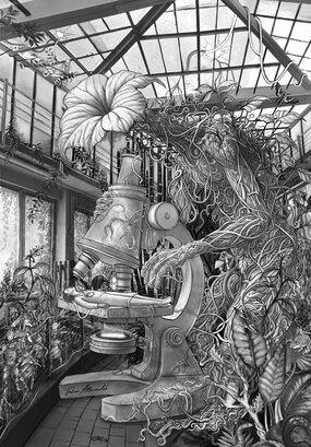 © Illustration Sahar ATTARZADEH