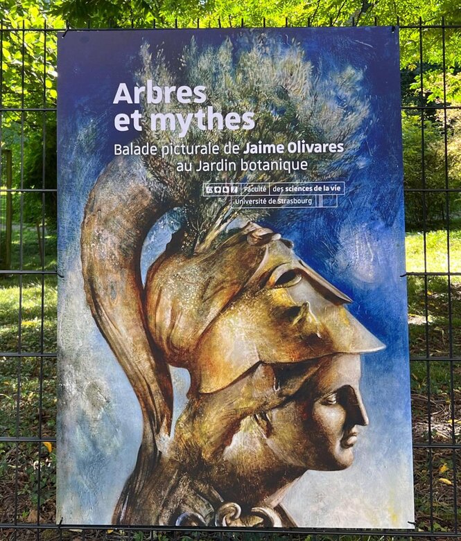 © Jaime Olivares - parcours Arbres et Mythes
