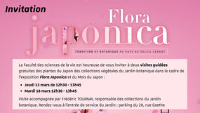 Invitation VG plantes du Japon