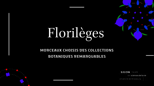 Florilèges