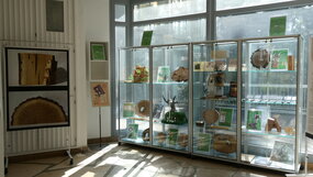 Exposition MMM à la micro-Galerie