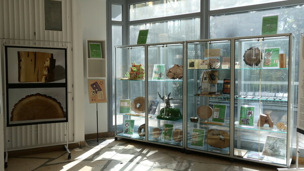 Exposition MMM à la micro-Galerie Exposition MMM à la micro-Galerie