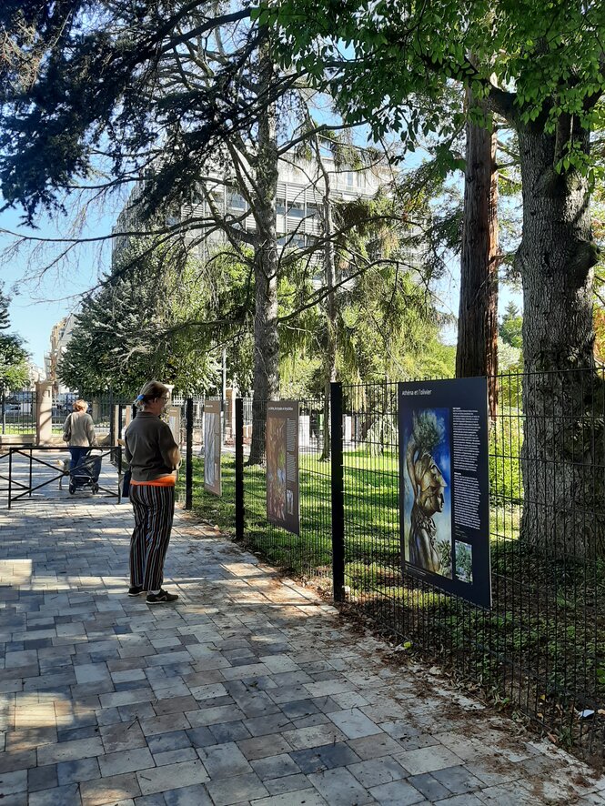 © Jaime Olivares - parcours Arbres et Mythes