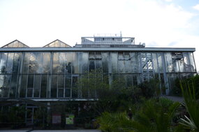 Serre froide et serre tropicale du Jardin botanique ©Shirin Khalili Serre froide et serre tropicale du Jardin botanique ©Shirin Khalili