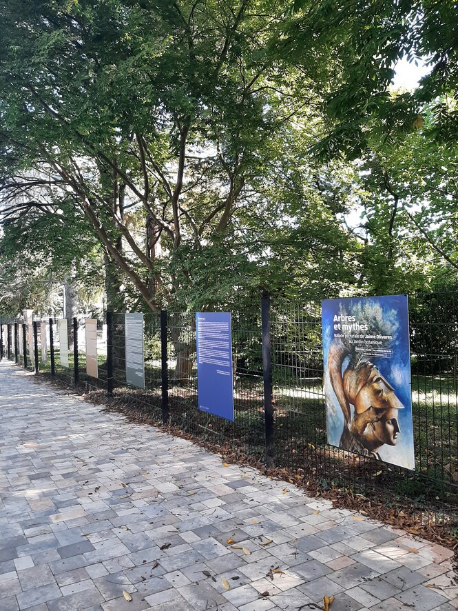 © Jaime Olivares - parcours Arbres et Mythes